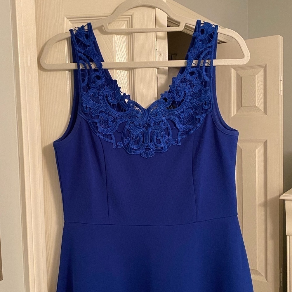 Delirious Fit and Flare Dress